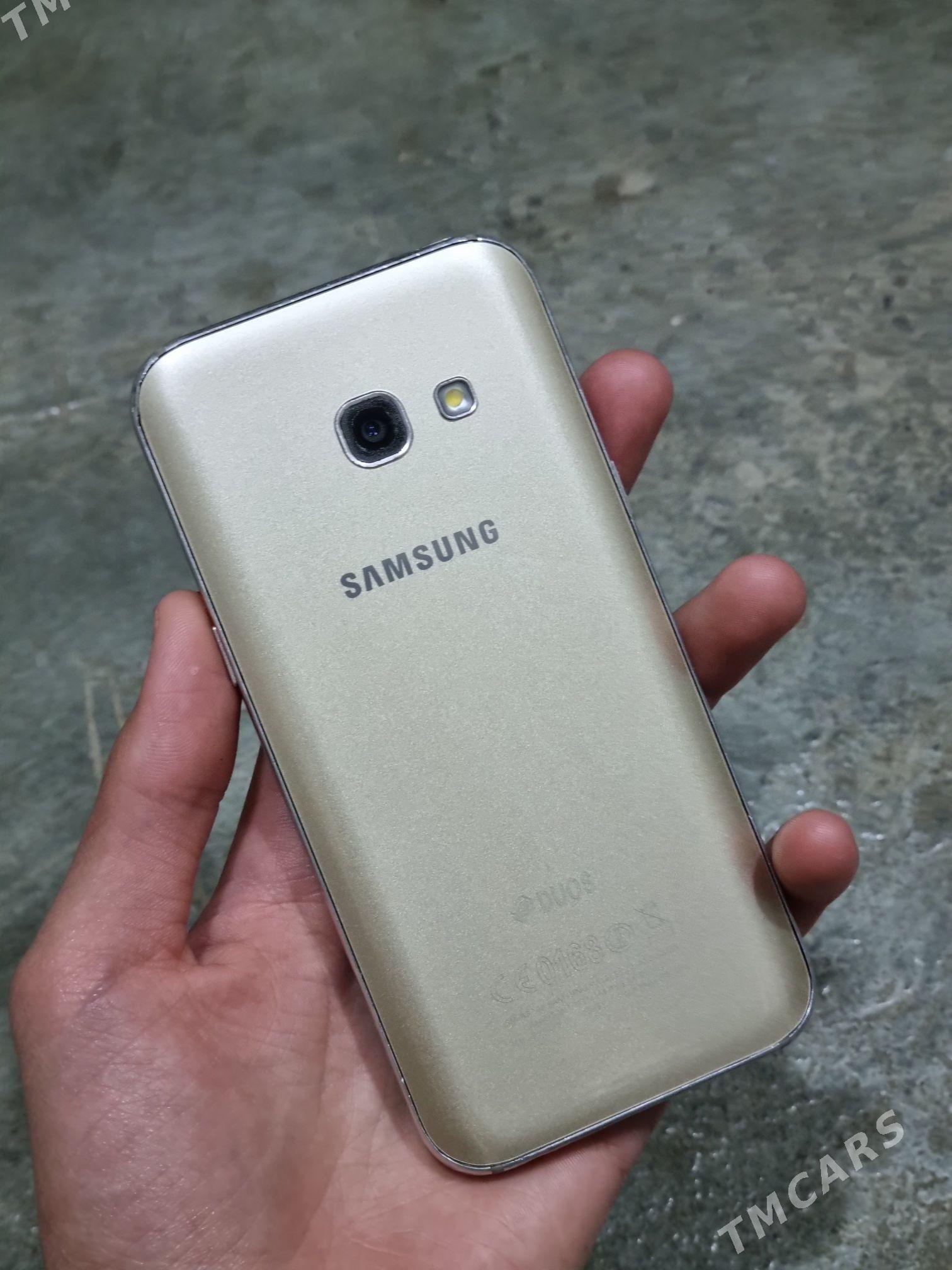 a3 2017  - Mary - img 2