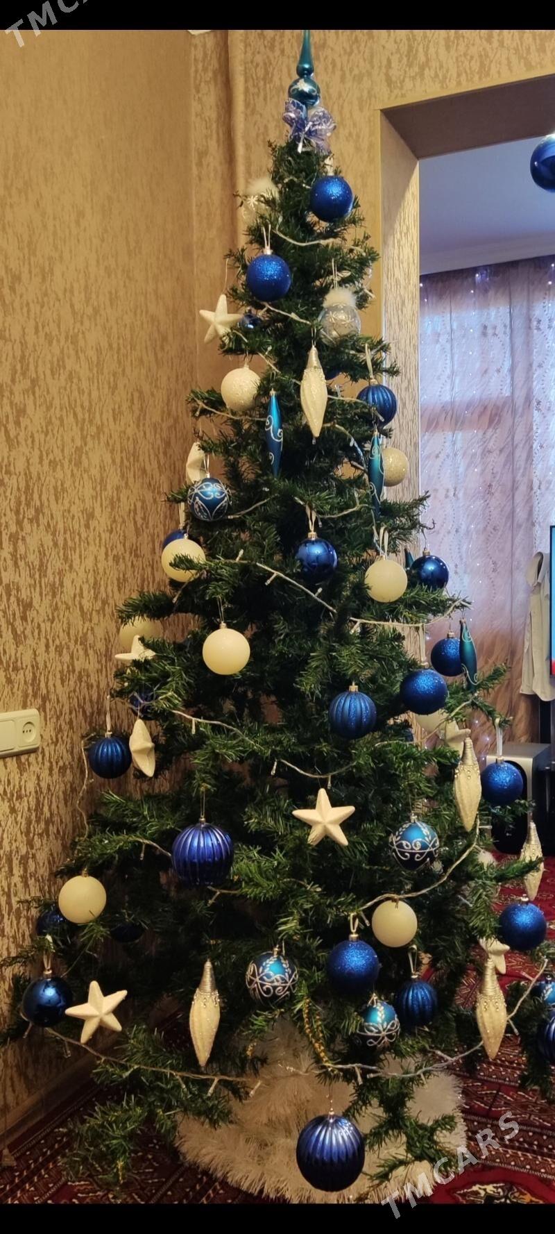 ЁЛКА - Ашхабад - img 1