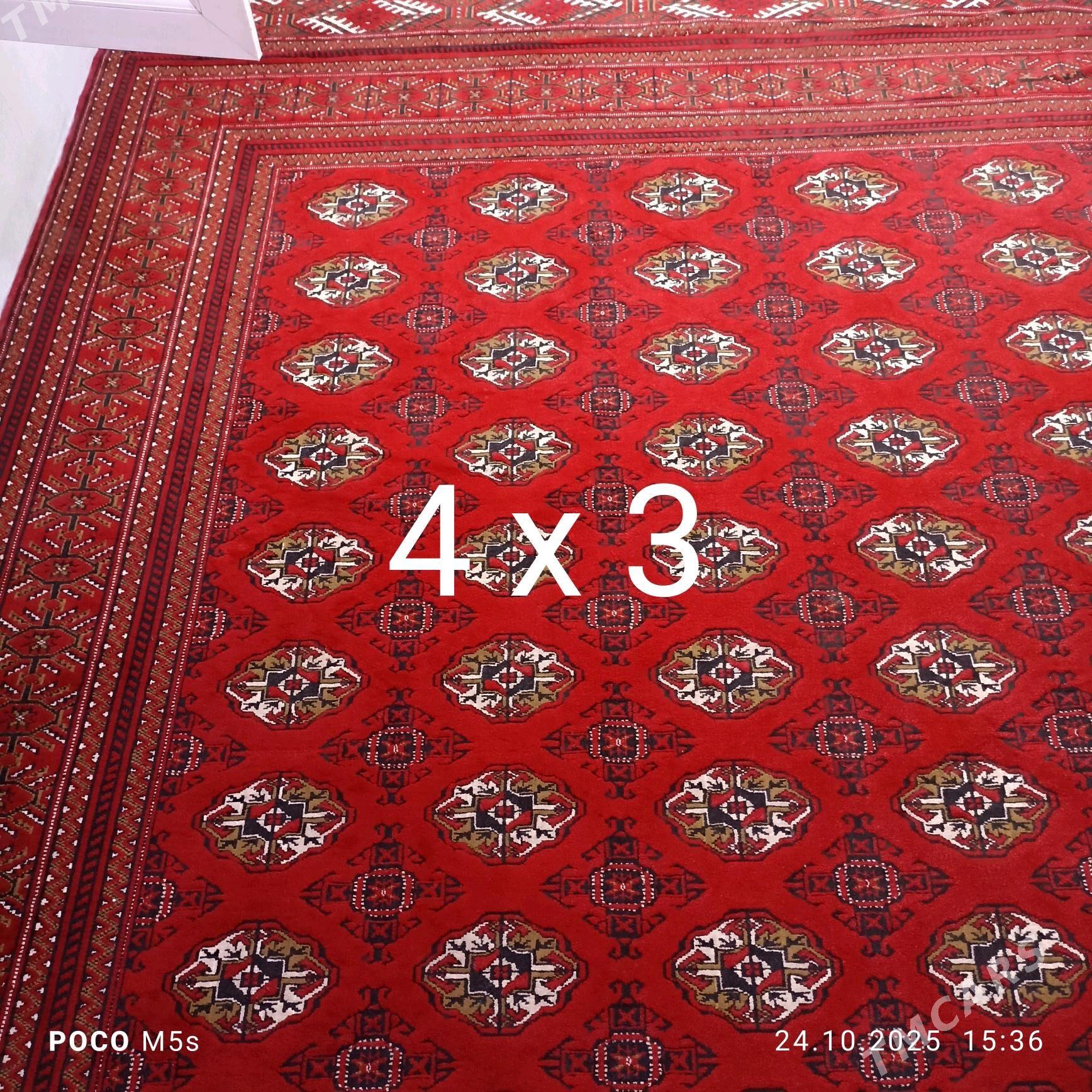 haly - Büzmeýin - img 2