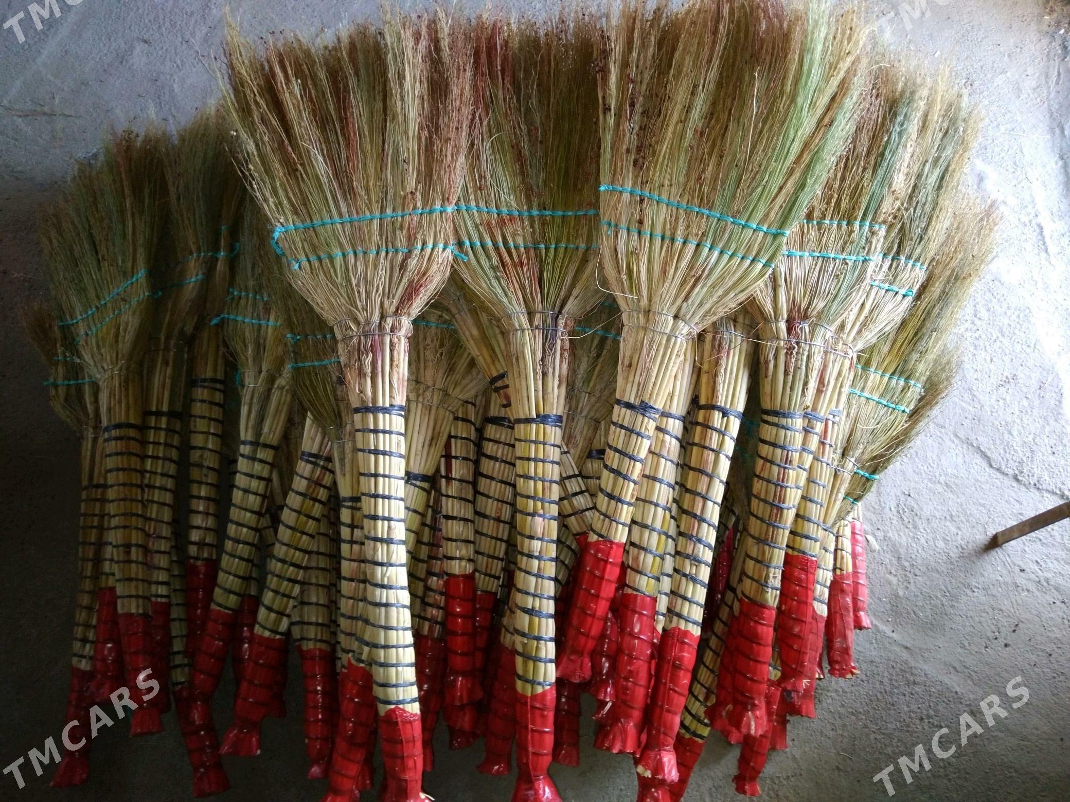 suwse stanok - Türkmengala - img 3