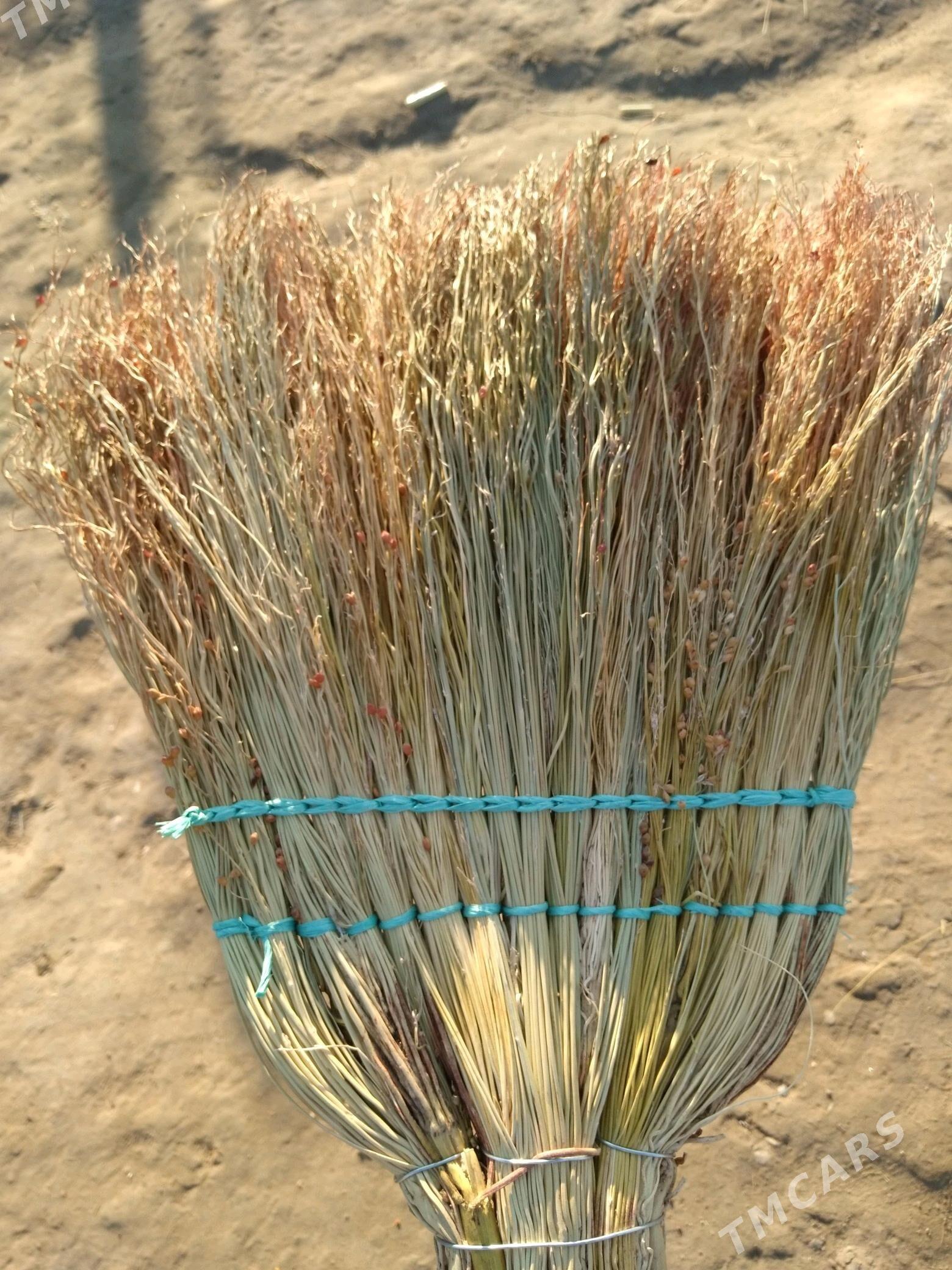 suwse stanok - Türkmengala - img 4