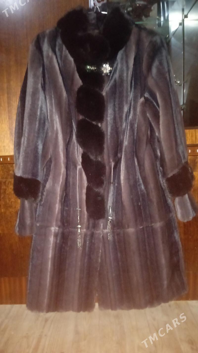 suba palto - Daşoguz - img 1