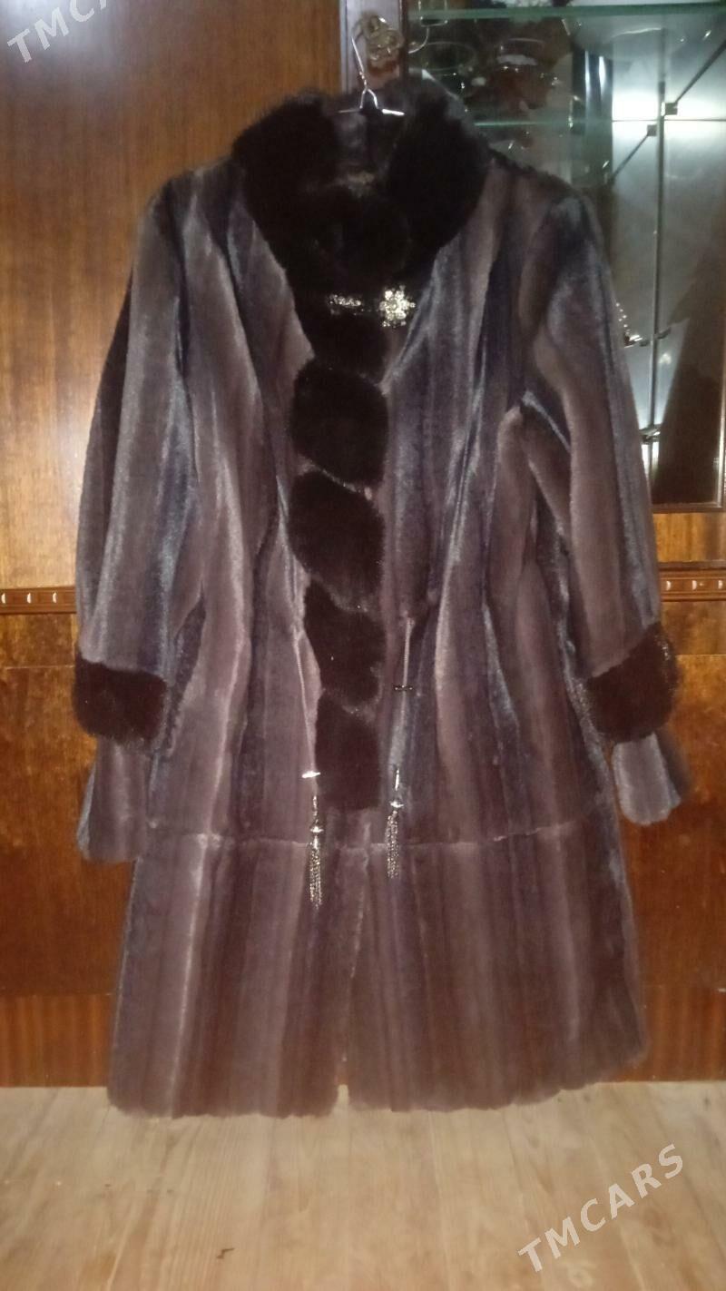 suba palto - Daşoguz - img 2