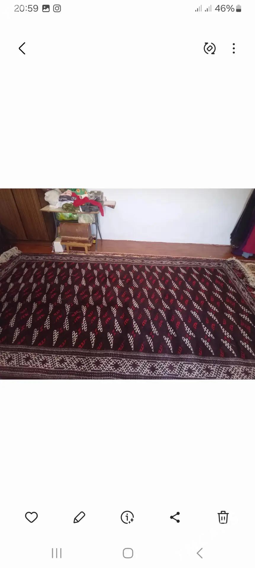 haly - Bereket - img 3