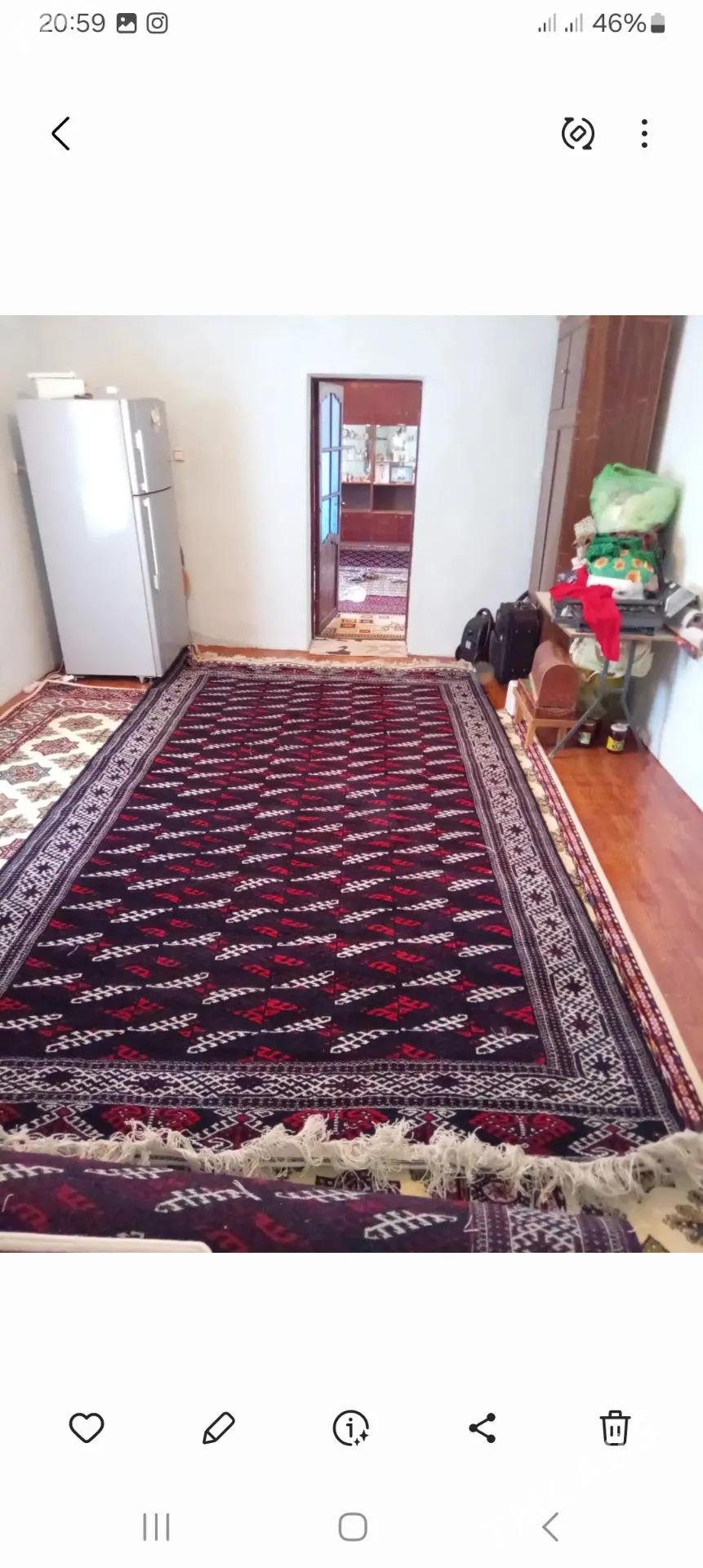 haly - Bereket - img 2