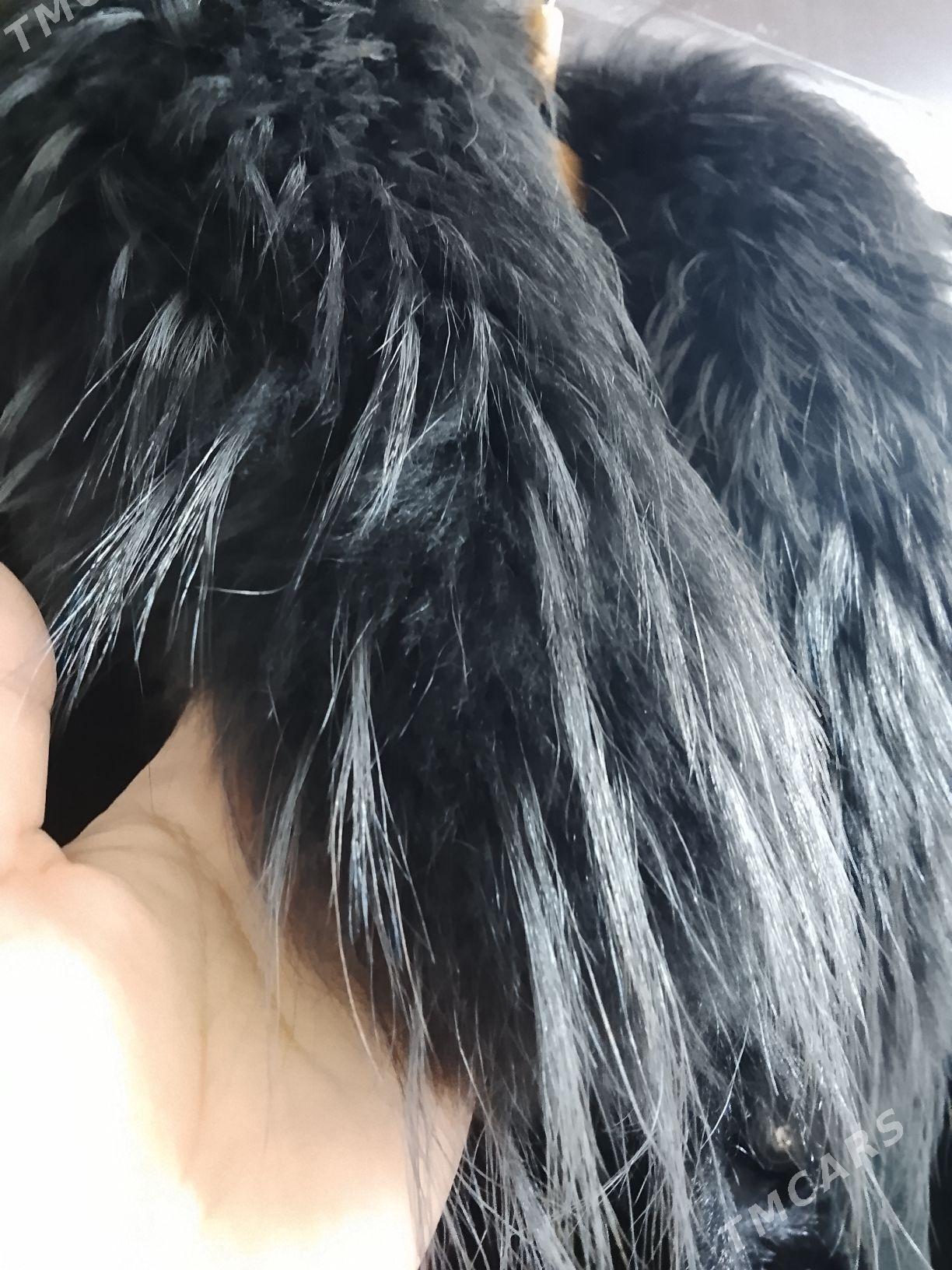 palto dublyonka,пальто дубленк - Ашхабад - img 2