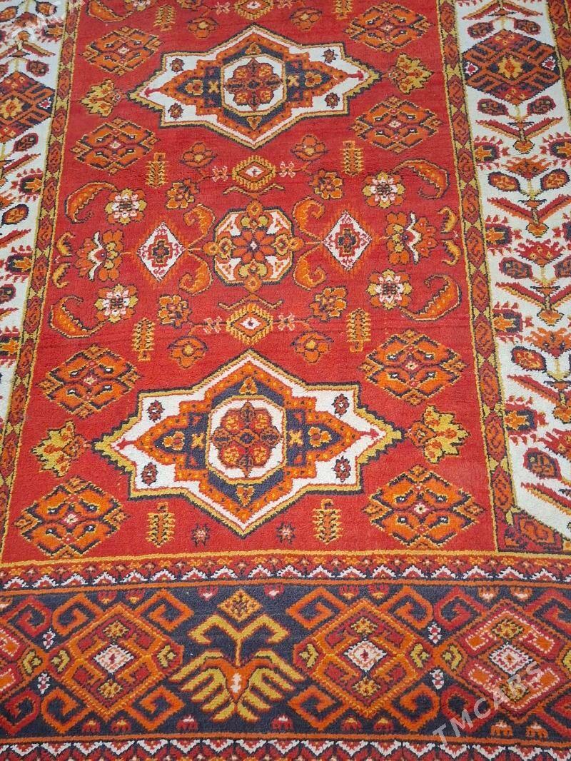 haly - Мир 1 - img 4