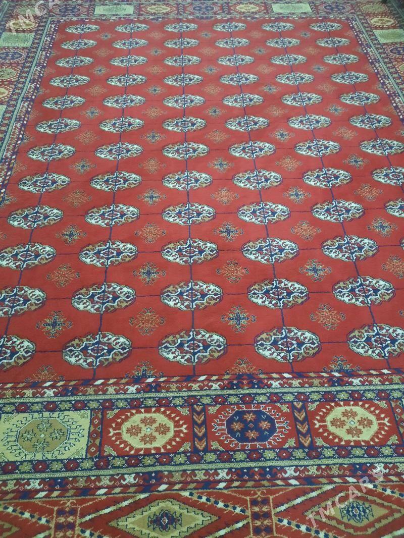 haly - Мир 1 - img 2