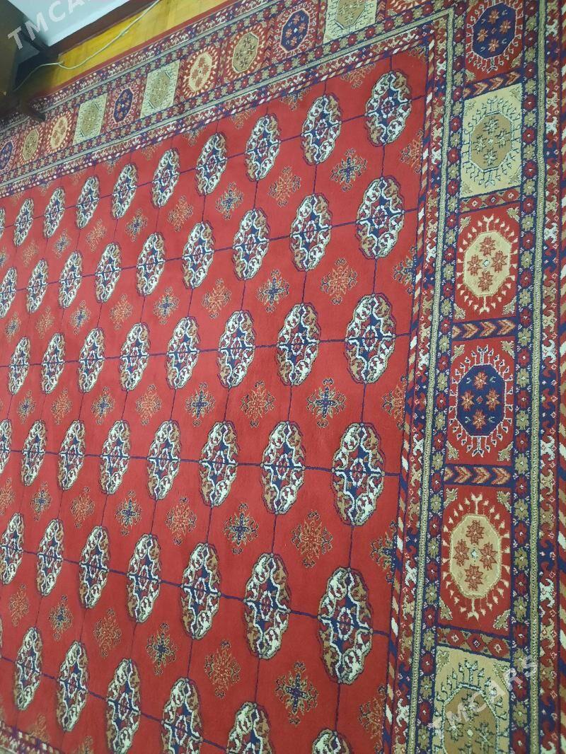 haly - Мир 1 - img 1