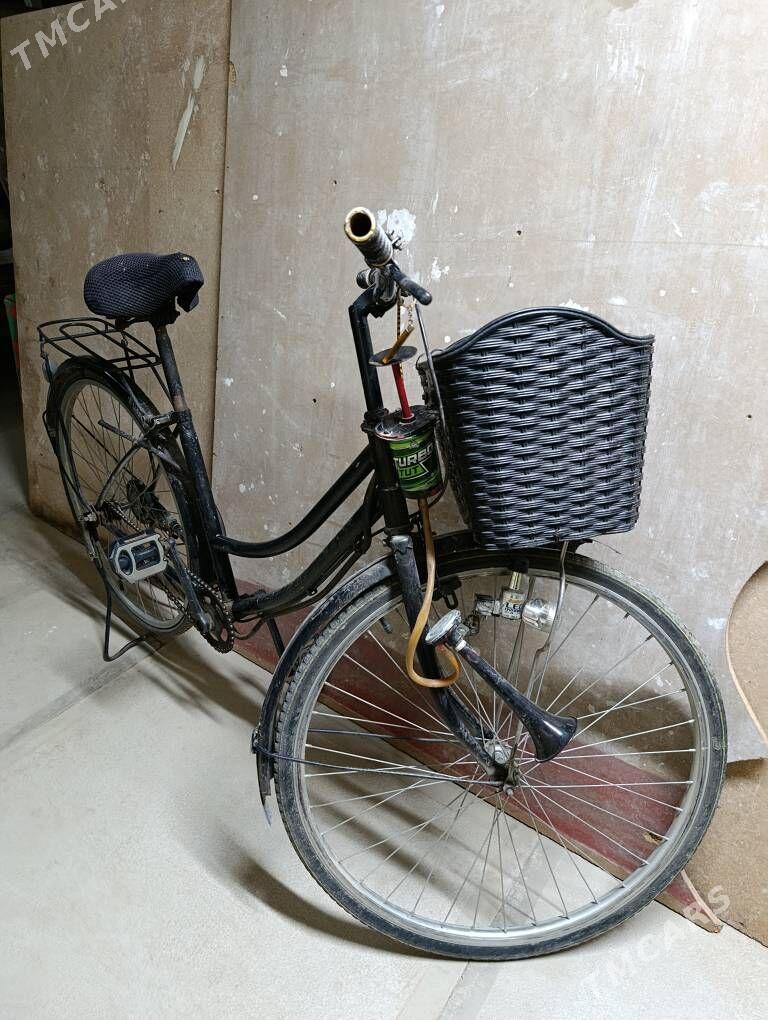 satlyk welik yapon - Sakarçäge - img 1