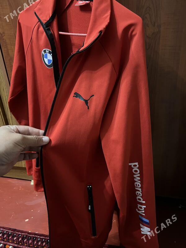 puma spartifka - Бузмеин ГРЭС - img 2