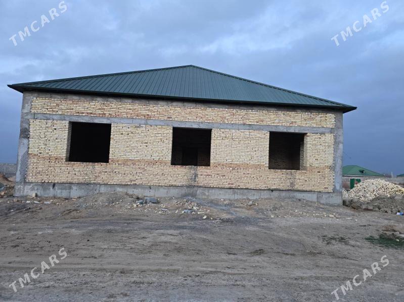 Gawers kone dag tarap 1 koce - Ak bugdaý etraby - img 1