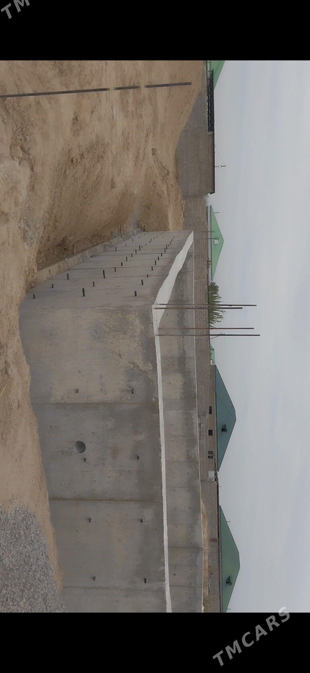 Gawers  kone dag tarap 1 koce - Ak bugdaý etraby - img 5