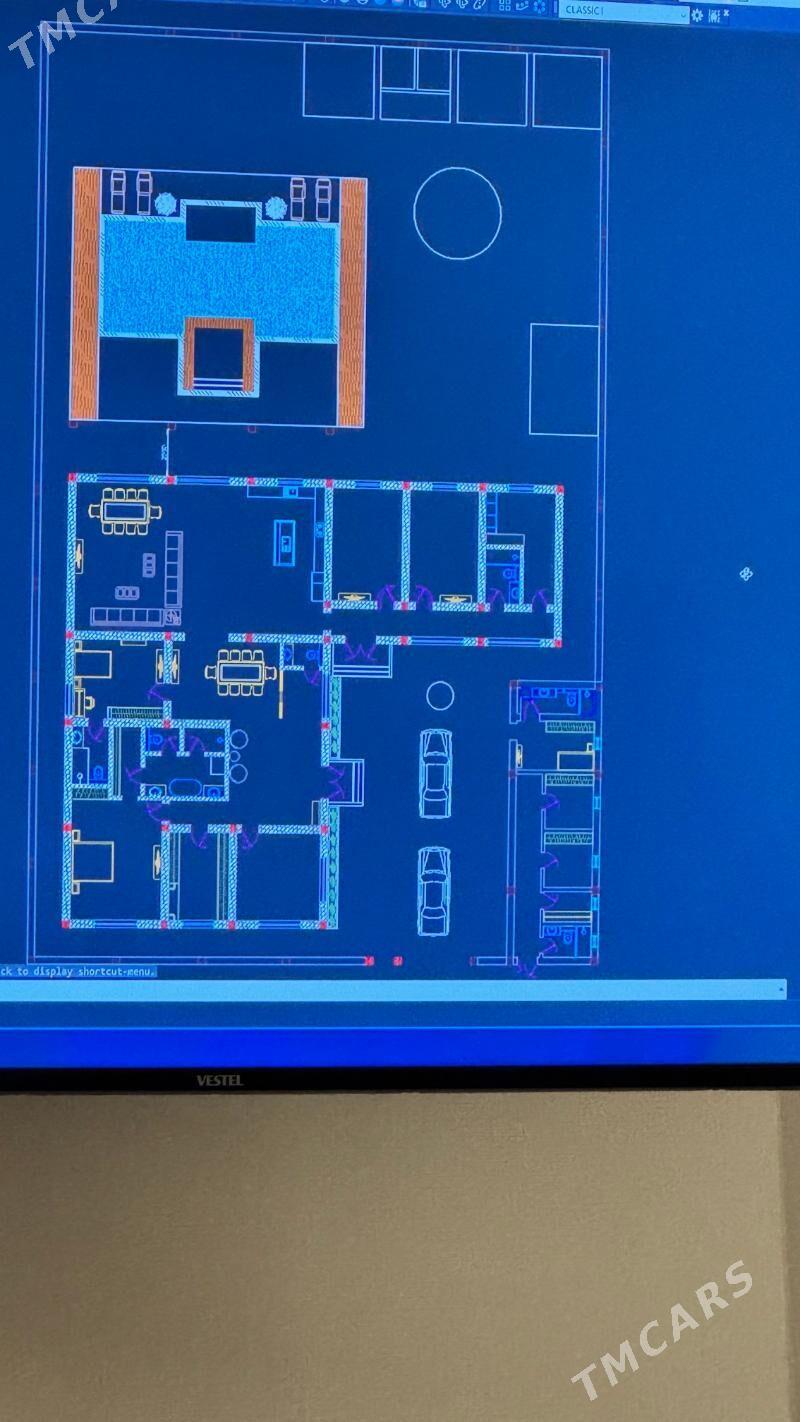 Gawers  kone dag tarap 1 koce - Ak bugdaý etraby - img 9