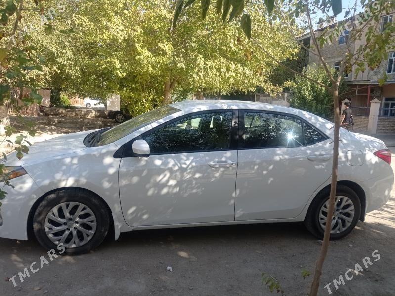 Toyota Corolla 2019 - 220 000 TMT - Balkanabat - img 4