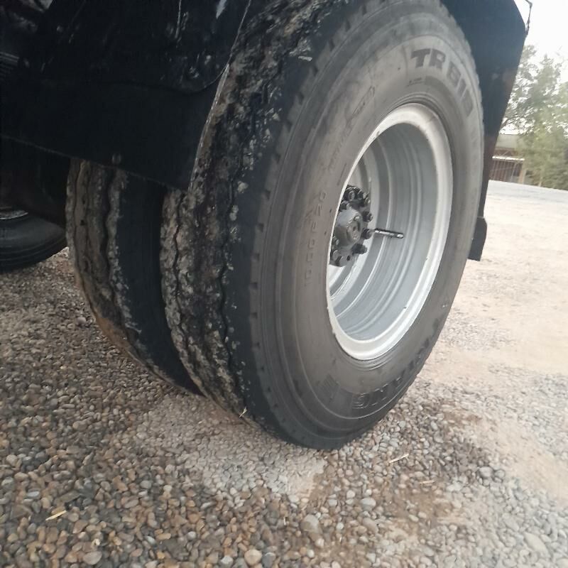 tiger 300 TMT - Murgap - img 2