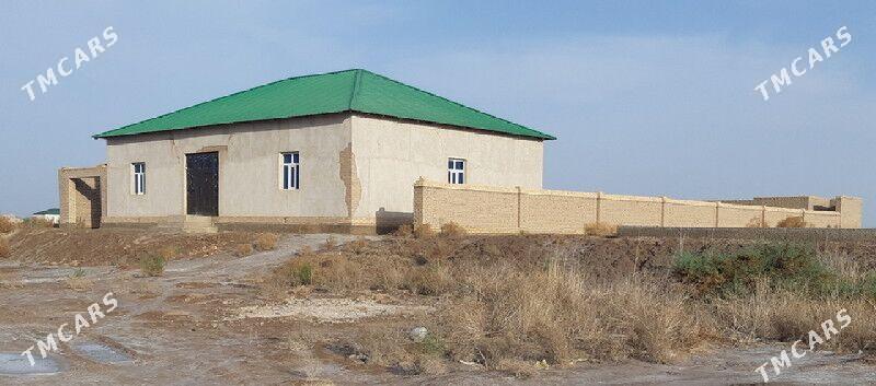 ucastka jay - Daşoguz - img 3