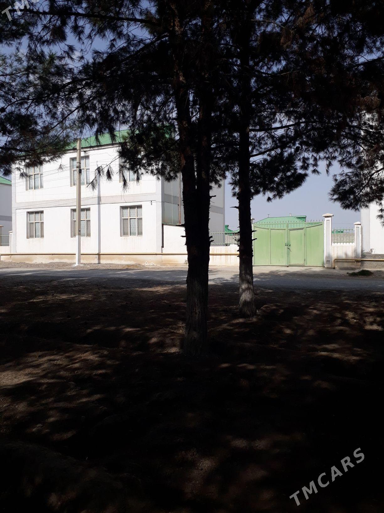 GÖKDEPE SATLYK KATEŽ - Gökdepe - img 2