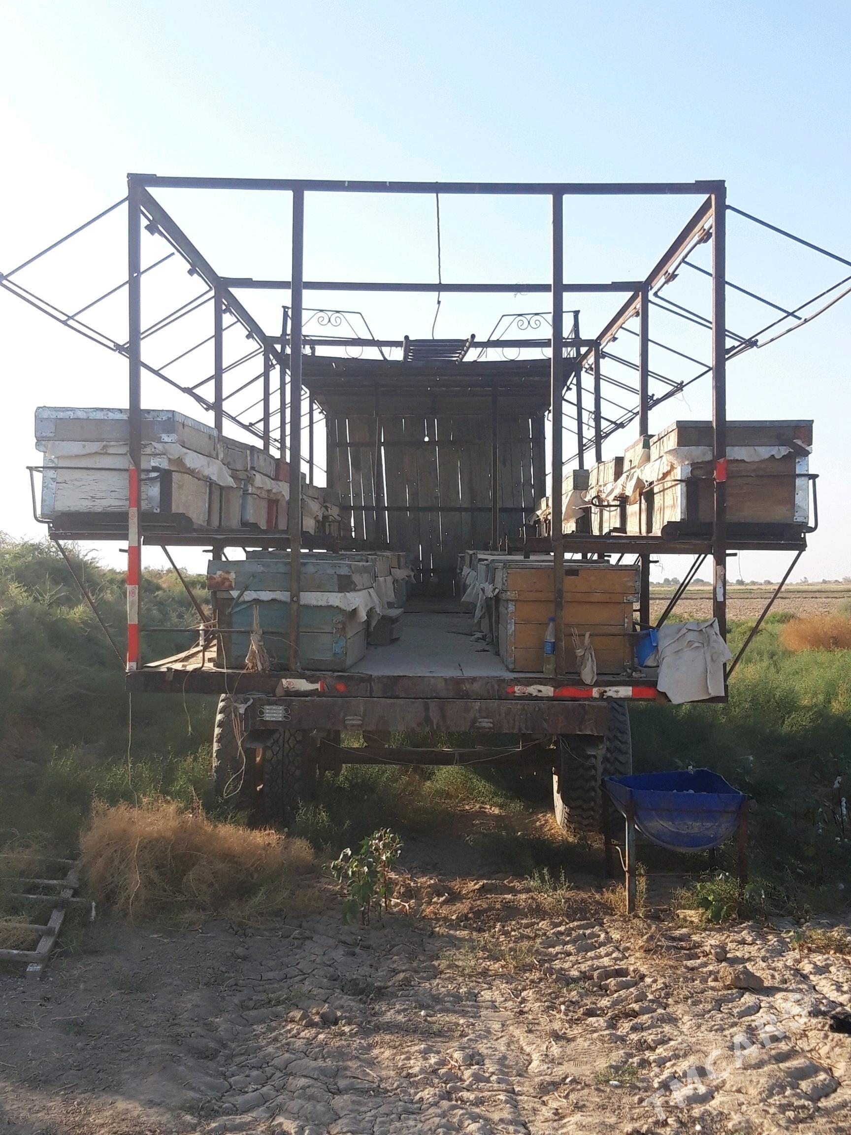 Bal ary pirsep Бал ары пирсеп - Ёлётен - img 6