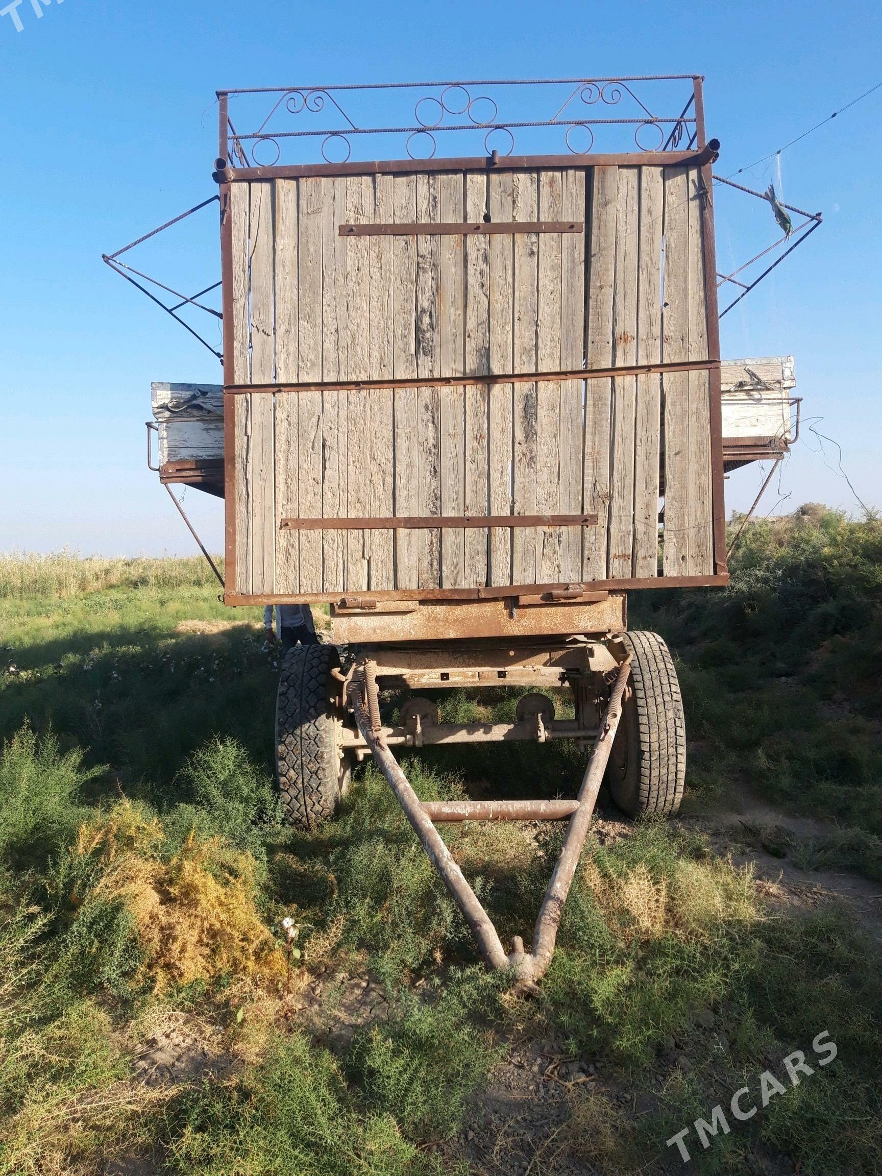 Bal ary pirsep Бал ары пирсеп - Ёлётен - img 2