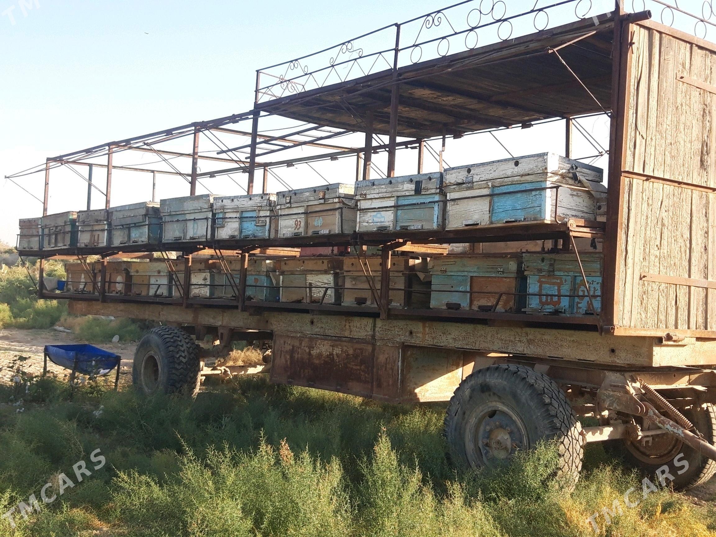 Bal ary pirsep Бал ары пирсеп - Ёлётен - img 3