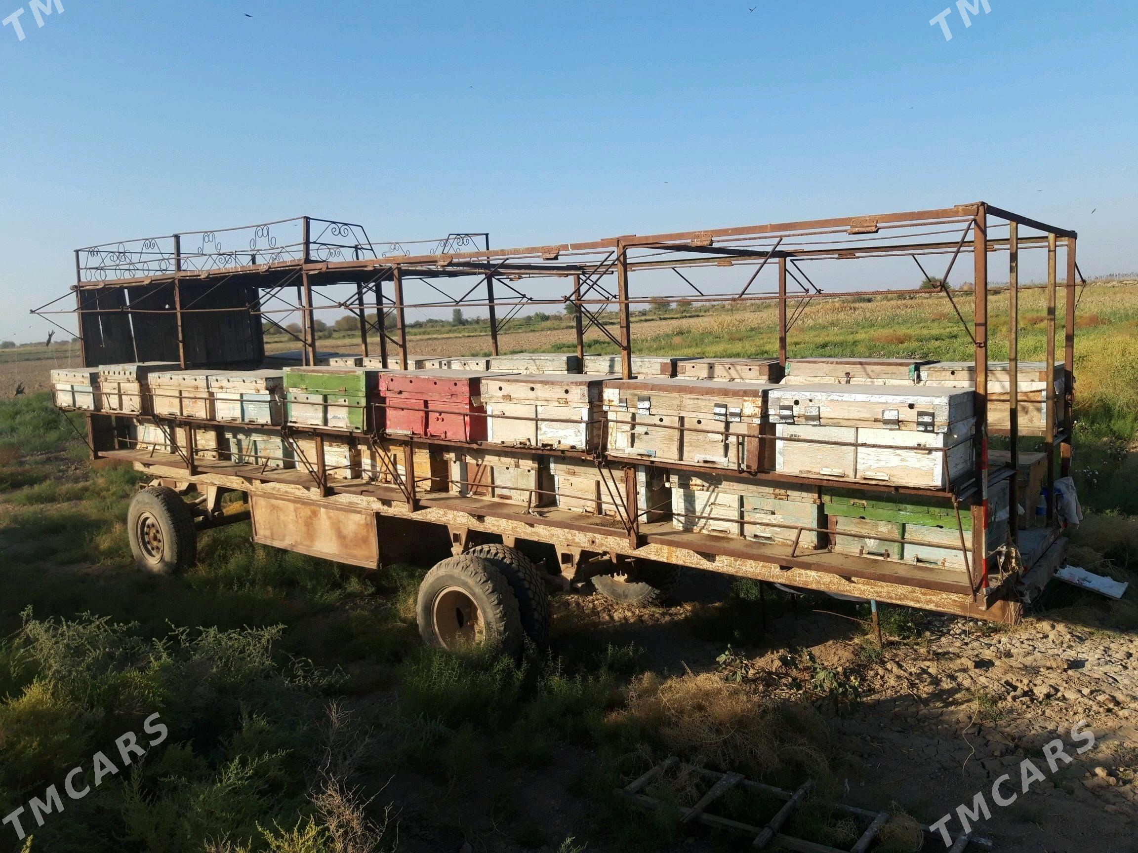 Bal ary pirsep Бал ары пирсеп - Ёлётен - img 4