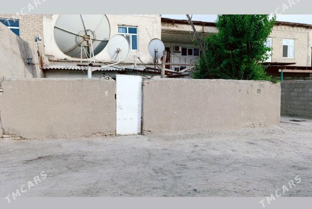 Satlyk Jay - Tejen - img 1