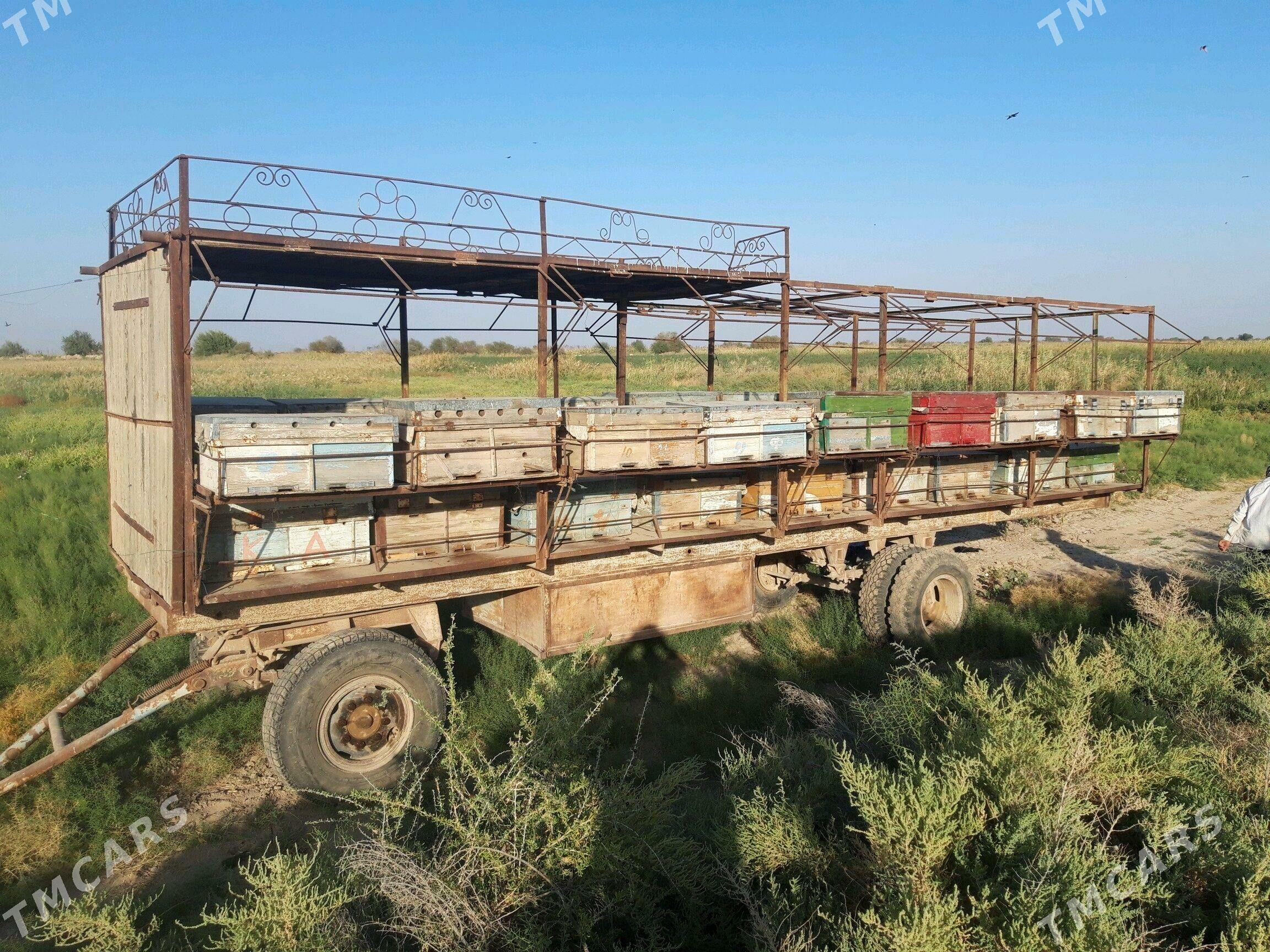 Prisep Polprisep 1992 - 30 000 TMT - Ёлётен - img 4