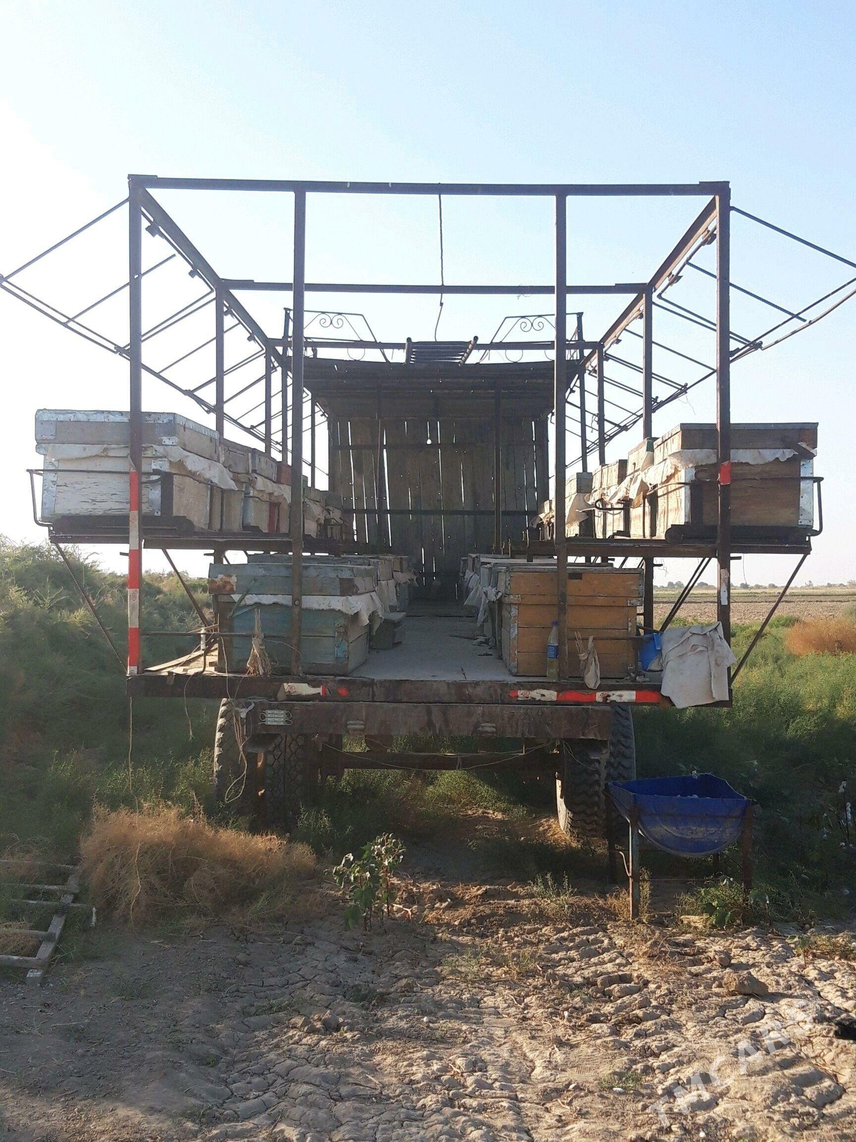 Prisep Polprisep 1992 - 30 000 TMT - Ёлётен - img 5