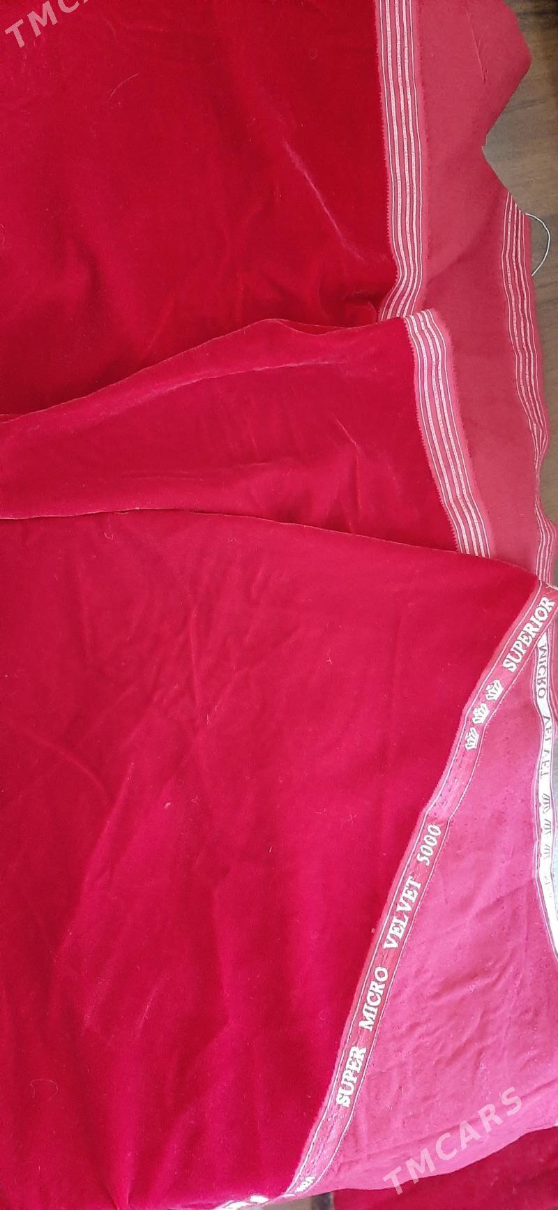 Mikro pommarh - Aşgabat - img 4