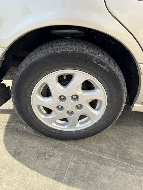 15 lik orok 3 200 TMT - Mary - img 3