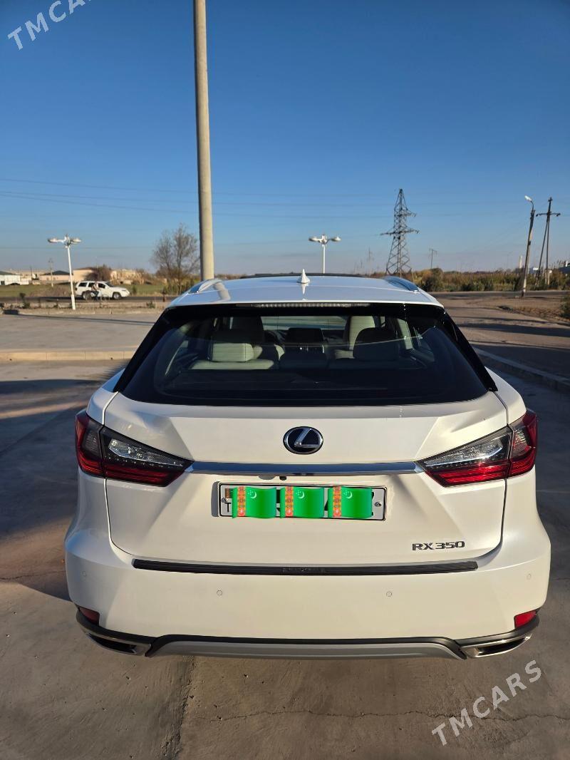 Lexus RX 350 2020 - 650 000 TMT - Daşoguz - img 2