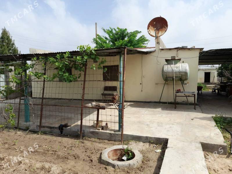 дача сатлык аневде - Ак-Бугдайский этрап - img 3