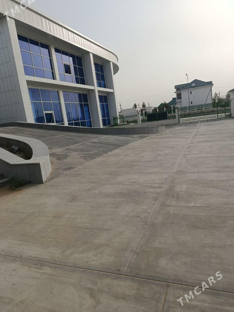 Anew yzdanya 3 sany - Änew - img 1