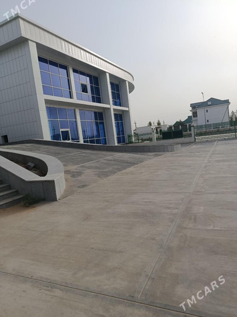 Anew yzdanya 3 sany - Änew - img 2