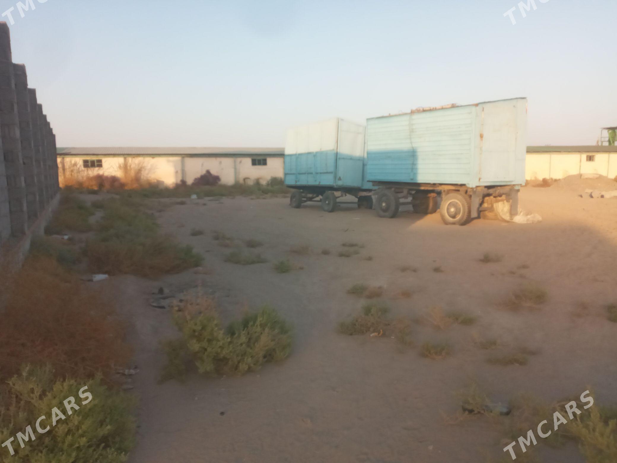 меллек - Фарап - img 4