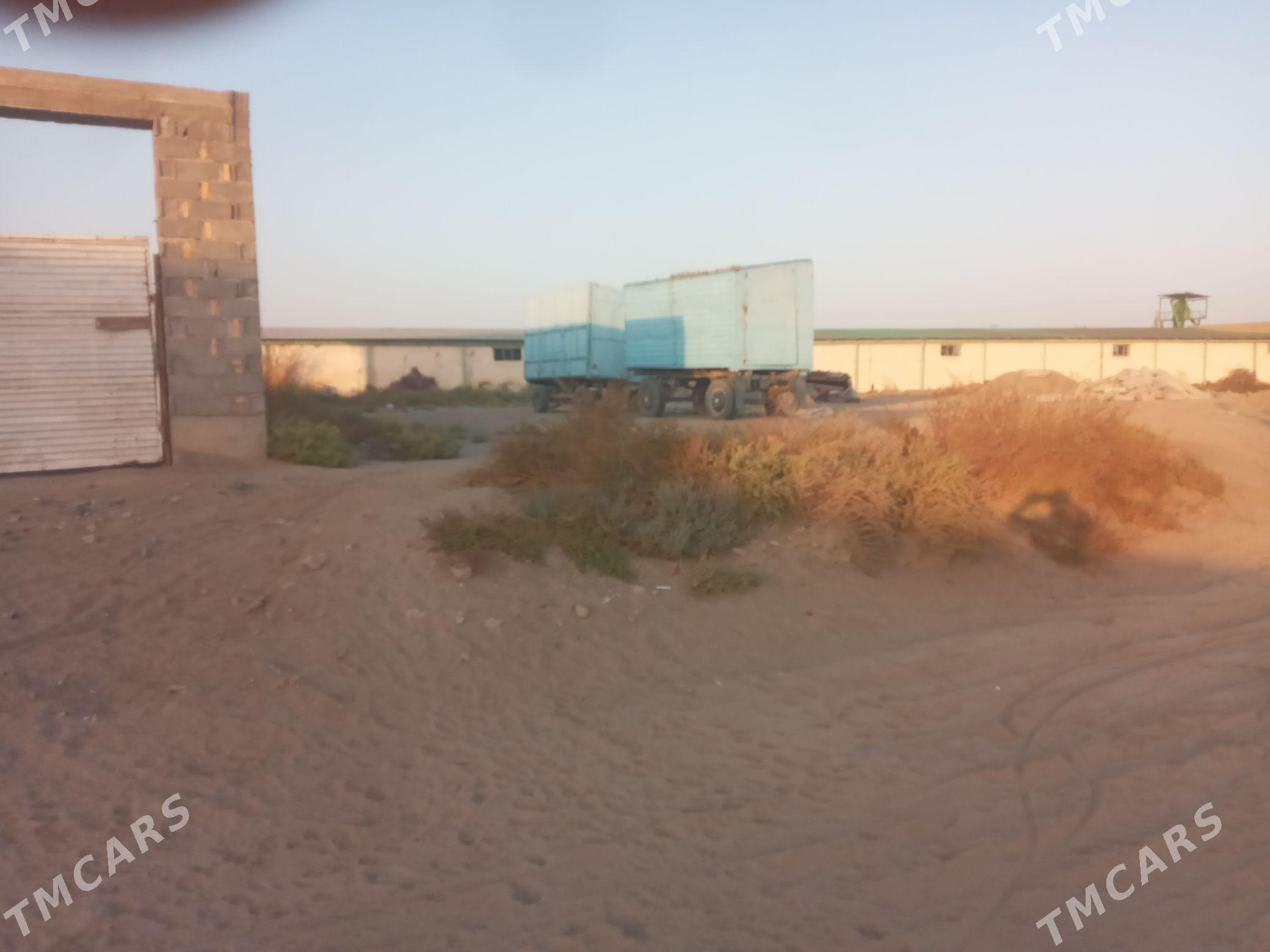 меллек - Фарап - img 2