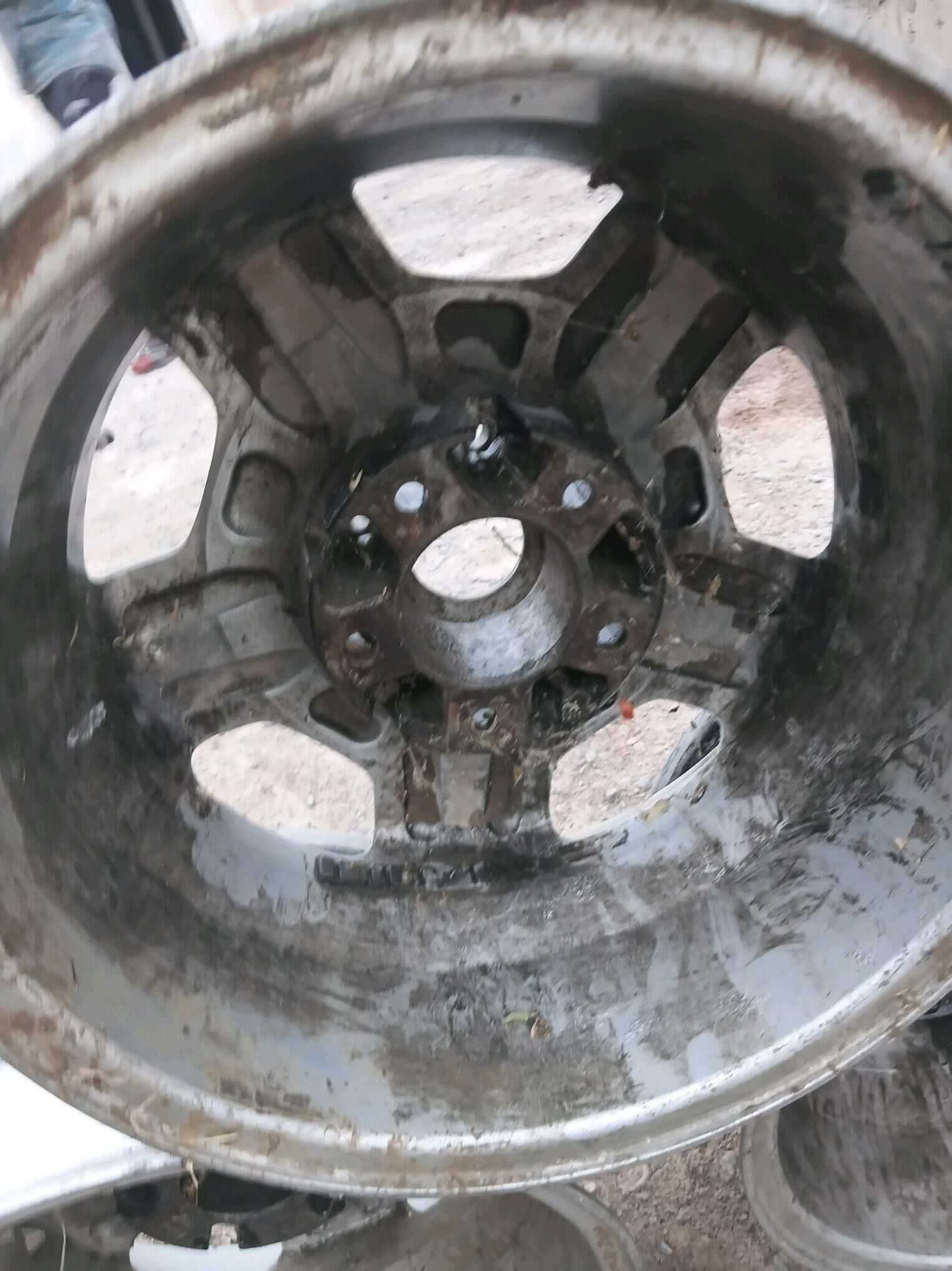 Dysga 1 500 TMT - Sakarçäge - img 2