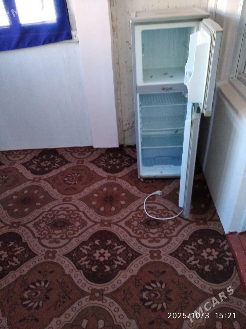 satlyk jaý - Mary - img 1