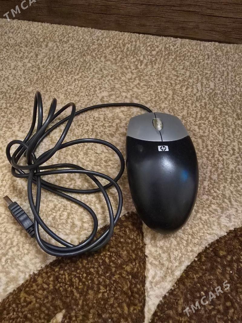 myska we simler - Ашхабад - img 5