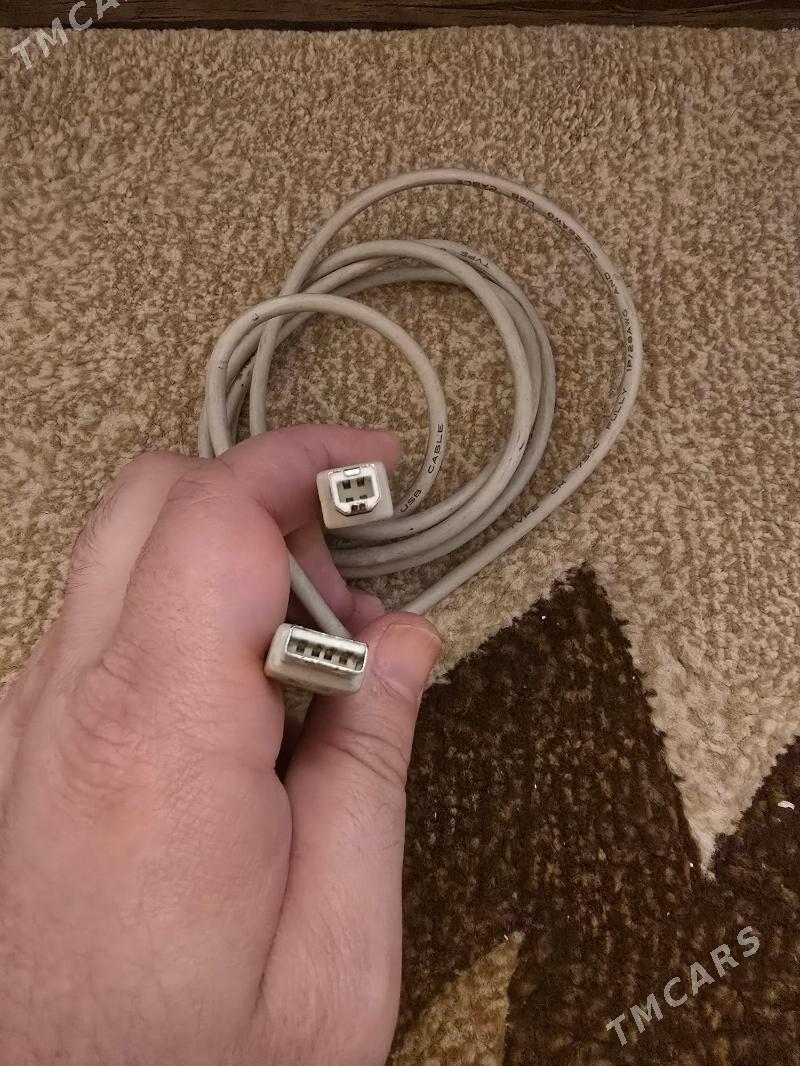 myska we simler - Ашхабад - img 4