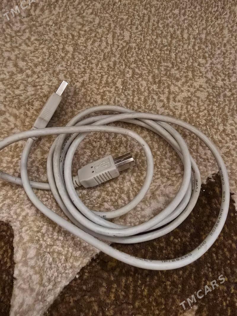 myska we simler - Ашхабад - img 3