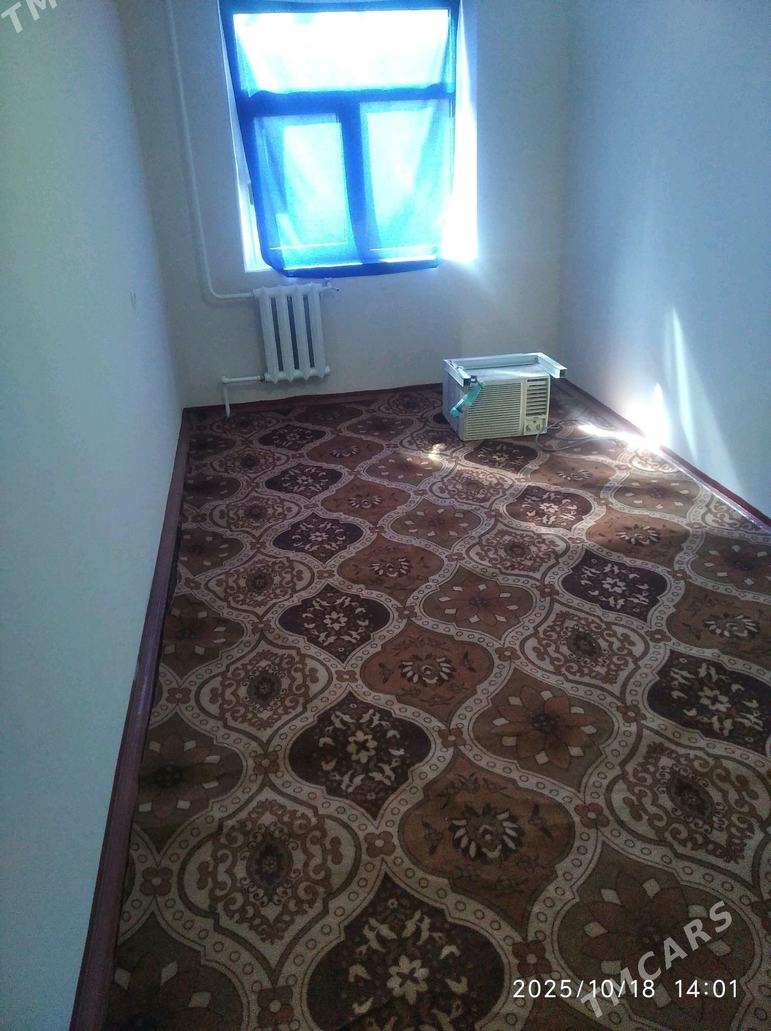 satlyk jaý - Mary - img 3