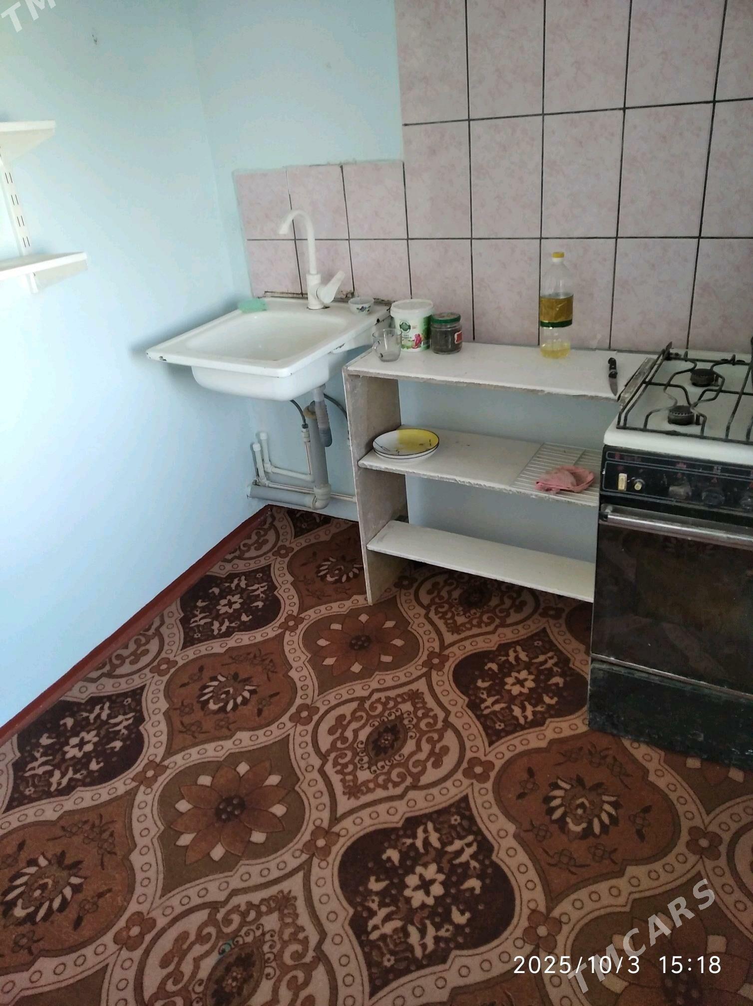 satlyk jaý - Mary - img 6