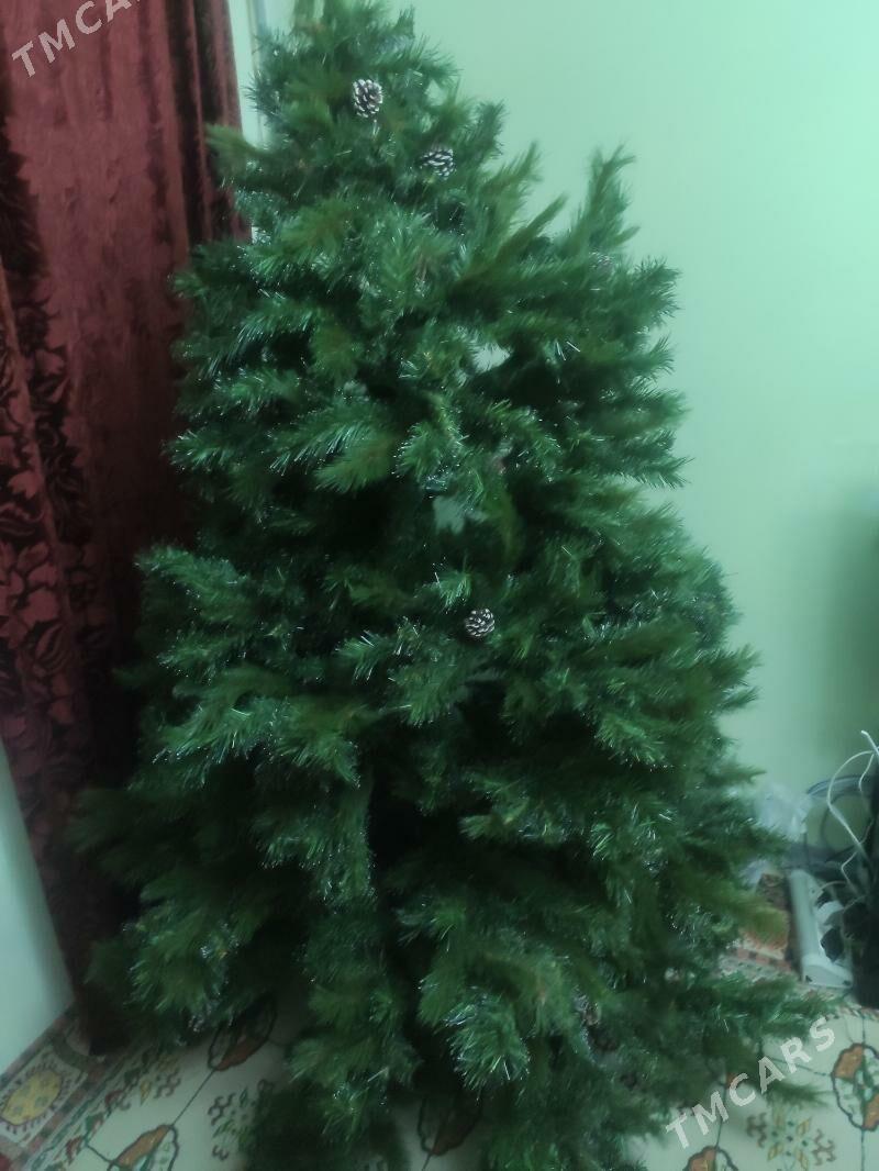 елка yolka arca - Ашхабад - img 1