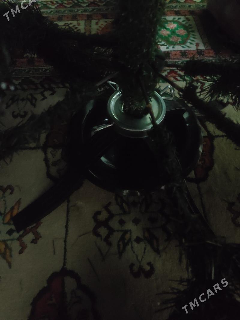 елка yolka arca - Ашхабад - img 2