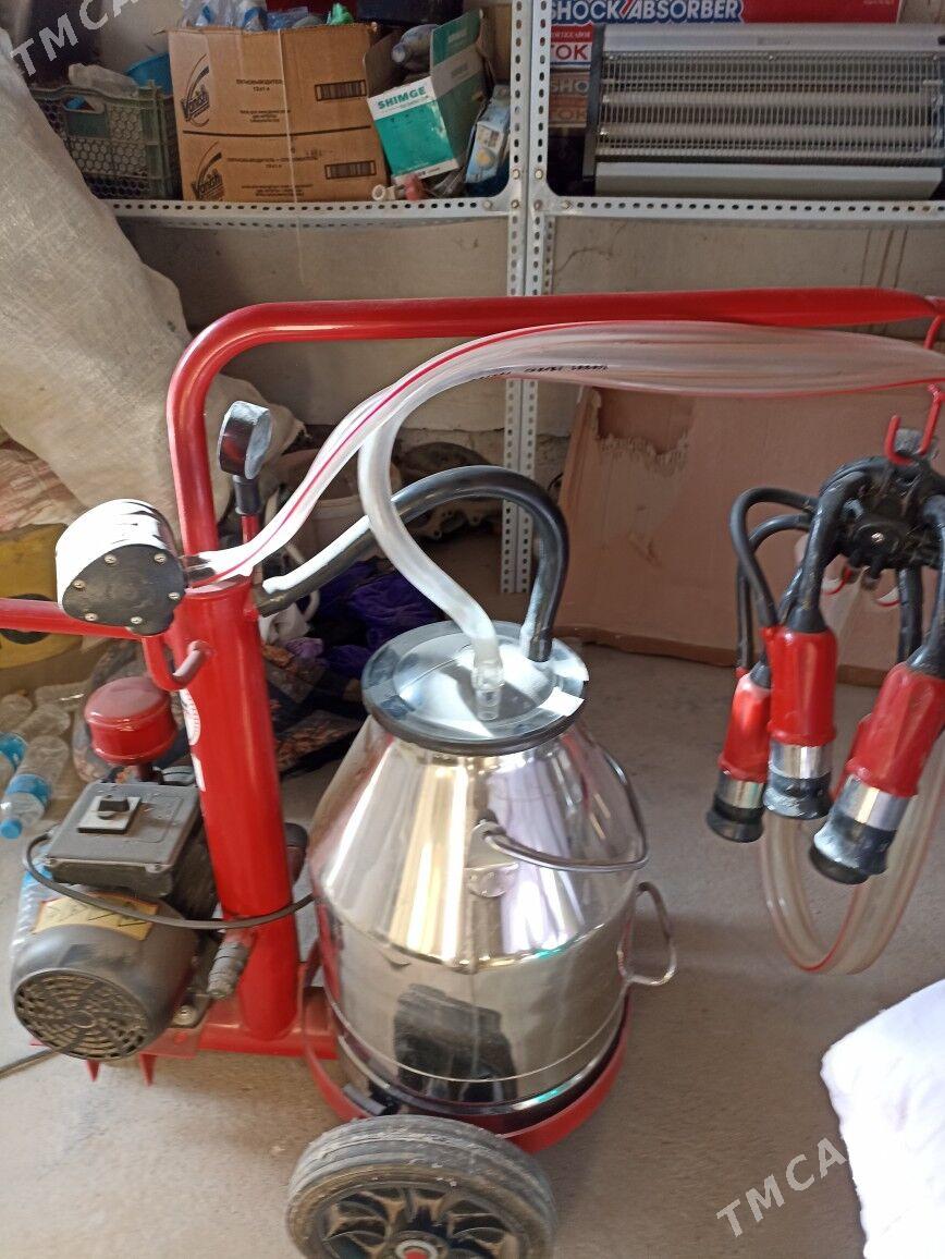 suyt masyn - Мургап - img 2