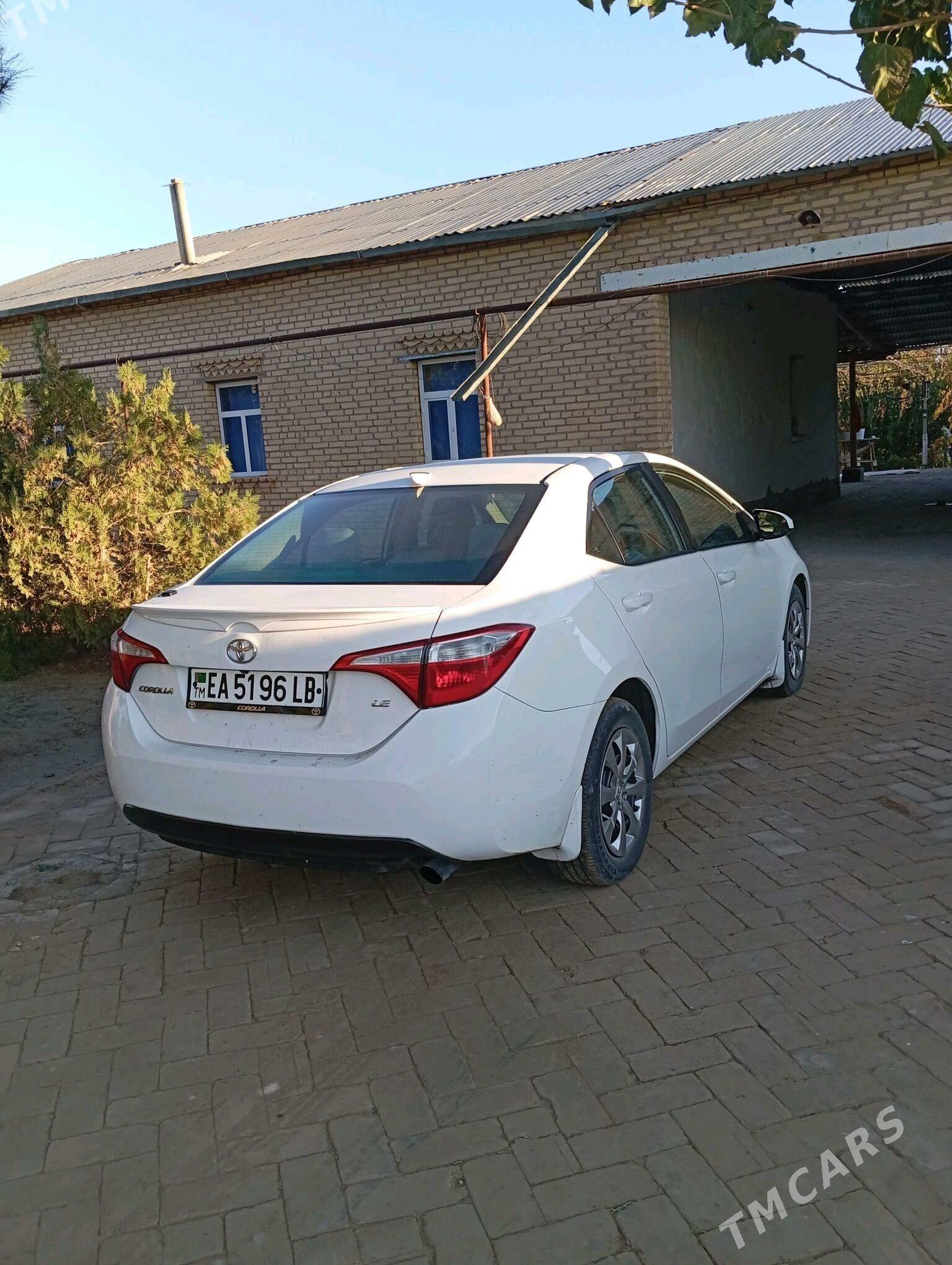 Toyota Corolla 2014 - 162 000 TMT - Halaç - img 3