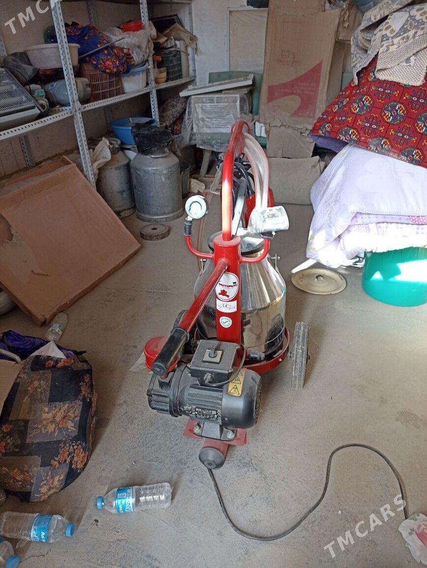 suyt masyn - Мургап - img 3