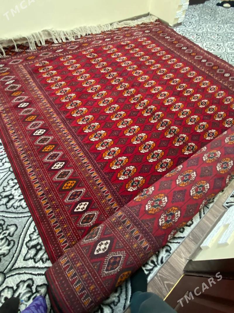 el haly - Täze zaman - img 3